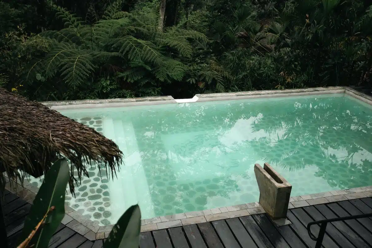 piscine naturelle