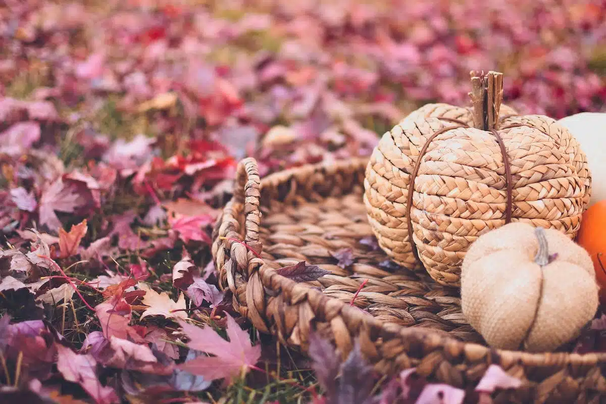 décoration automne