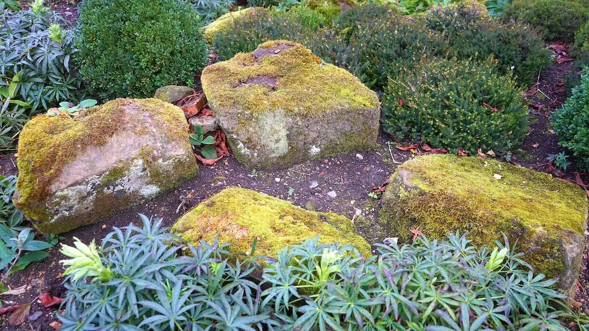 jardin écoresponsable