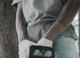 Prix abattage arbre : guide des tarifs indispensables