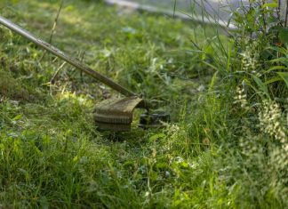 Comment utiliser et entretenir son coupe-bordure à batterie ? un coupe-bordure